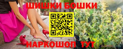 прущие грибы Кандалакша