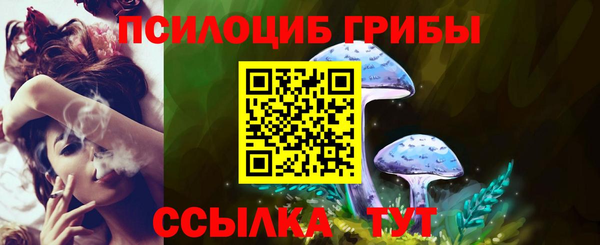Псилоцибиновые грибы ЛСД Лабытнанги